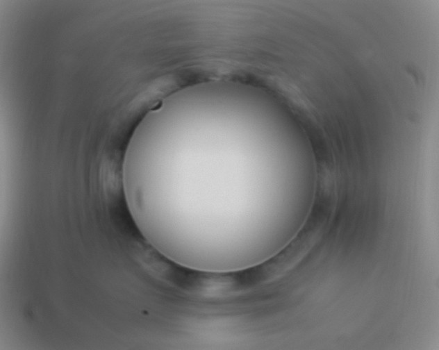 X0000114010719200910161733