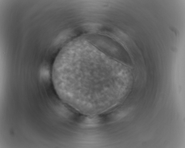 X0000114010720200910161733