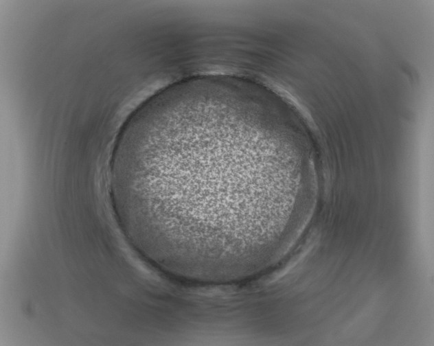 X0000114010721200910161732