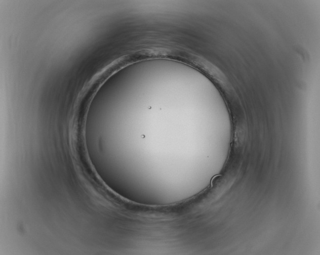 X0000114010722200910161732