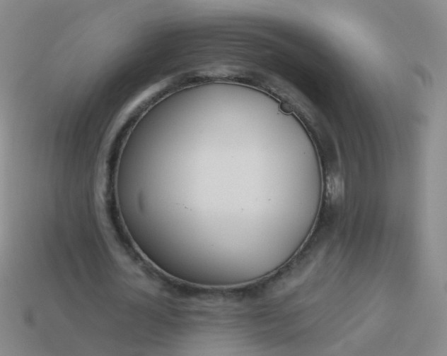 X0000114010724200910161732