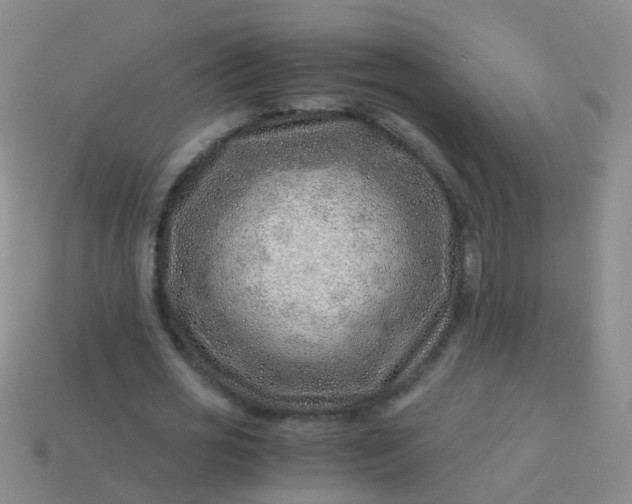 X0000114010725200910161732