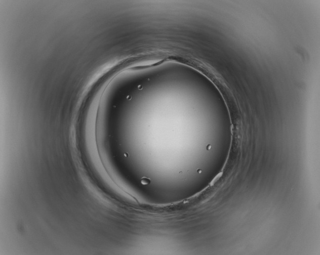 X0000114010726200910161732