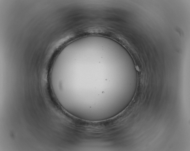 X0000114010727200910161732