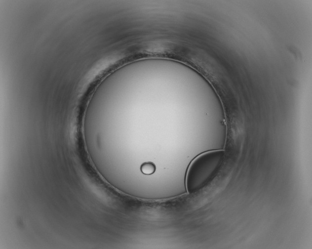 X0000114010728200910161732