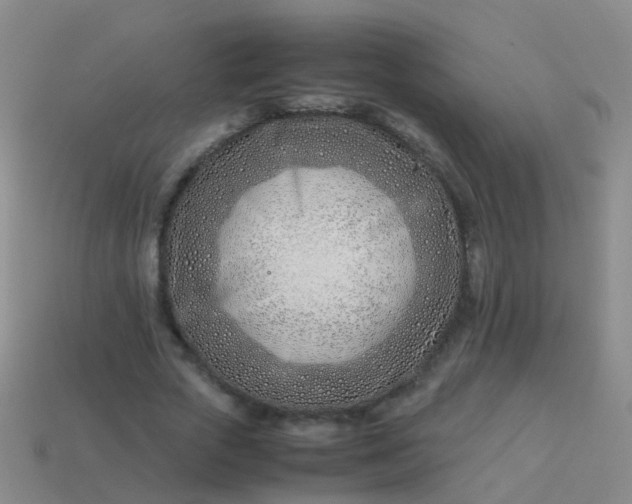 X0000114010729200910161732