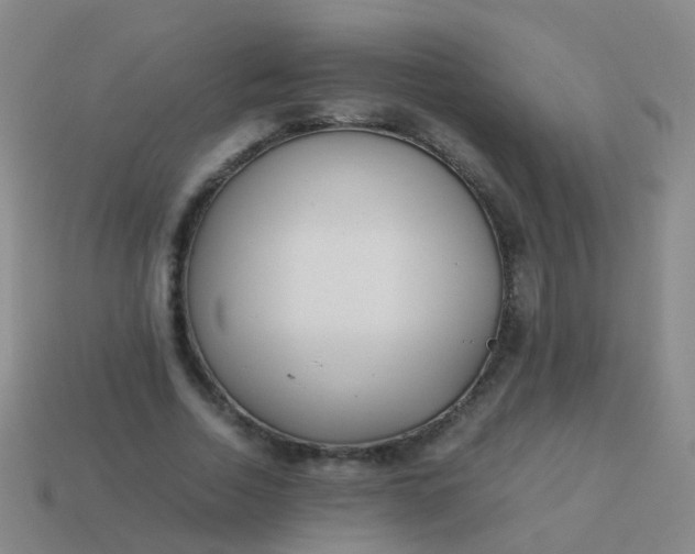 X0000114010730200910161732