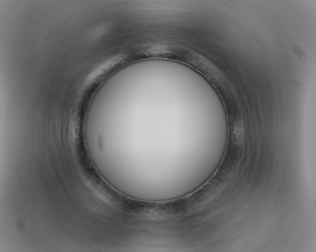 X0000114010732200910161732