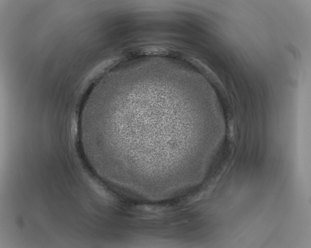 X0000114010733200910161732