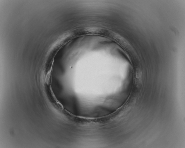 X0000114010734200910161732