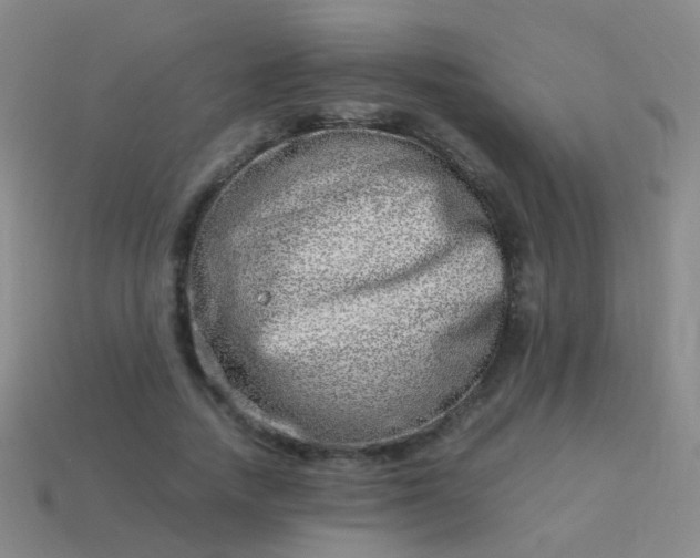 X0000114010738200910161733