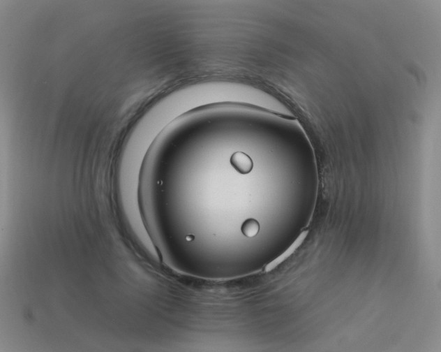 X0000114010740200910161733