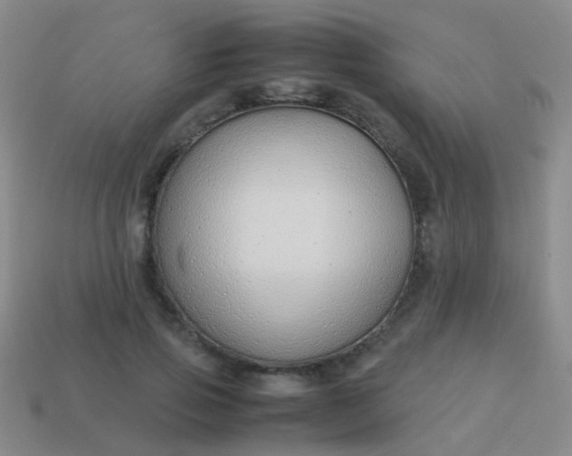 X0000114010741200910161733