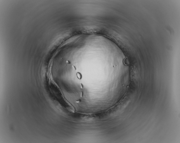 X0000114010742200910161733