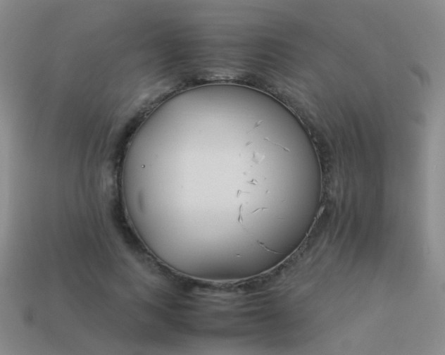 X0000114010743200910161733