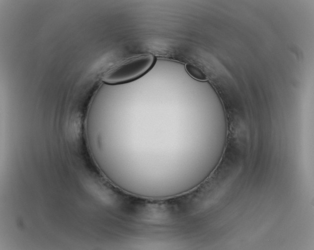 X0000114010744200910161733