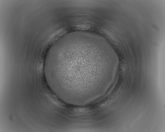 X0000114010745200910161733