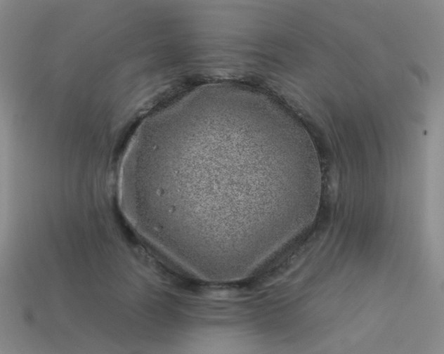 X0000114010746200910161733