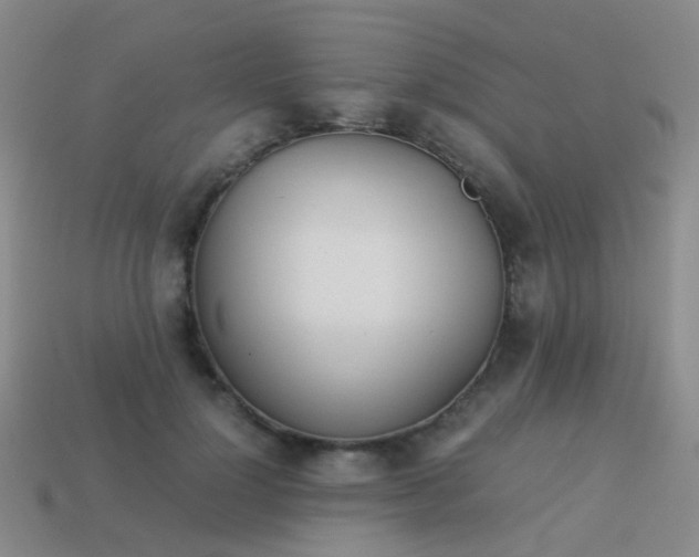 X0000114010748200910161733