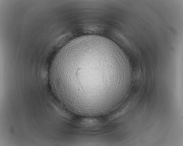 X0000114010749200910161733