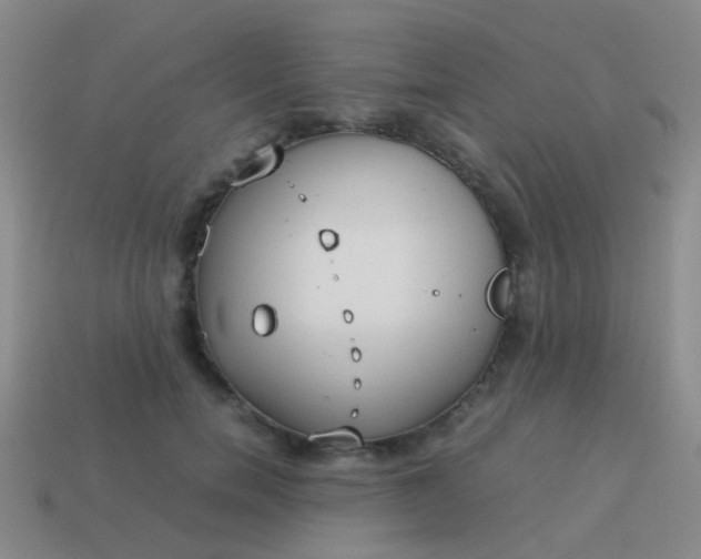 X0000114010750200910161733