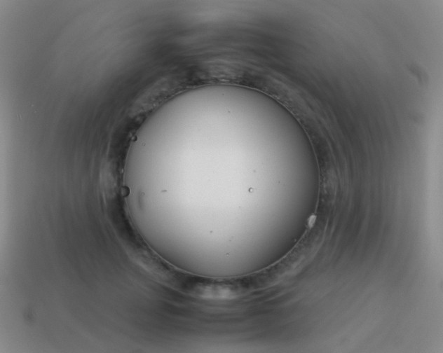 X0000114010751200910161733