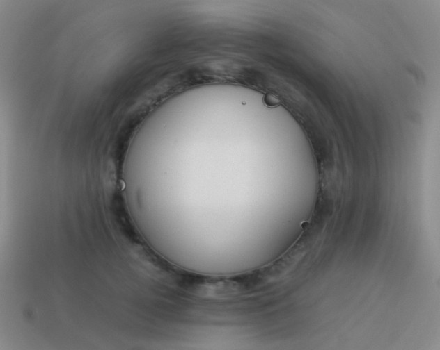 X0000114010752200910161733