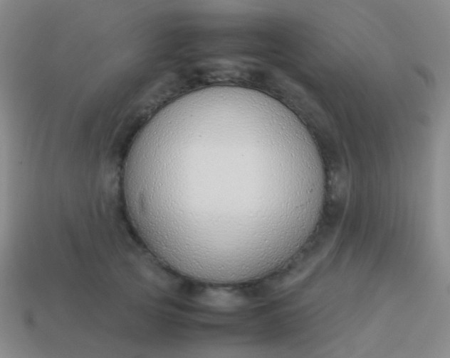 X0000114010753200910161733