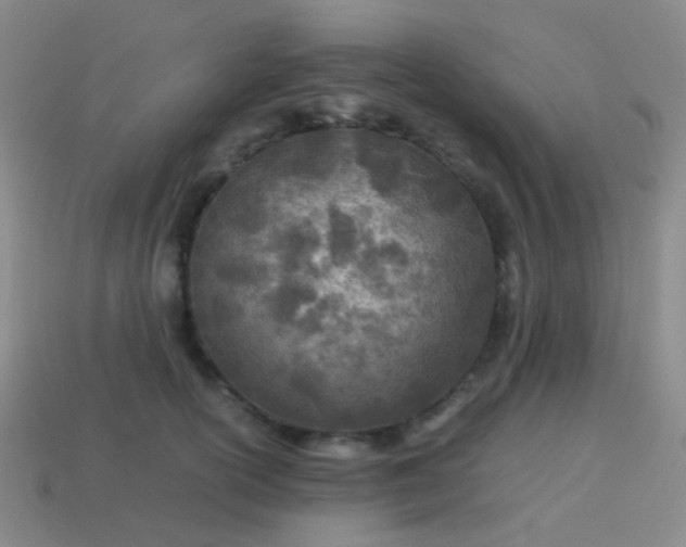 X0000114010754200910161733