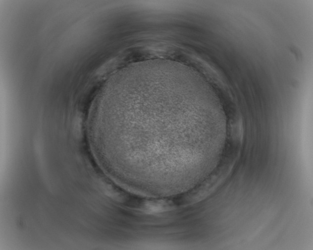 X0000114010757200910161733