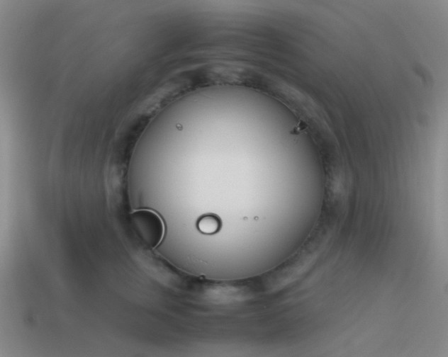 X0000114010759200910161733