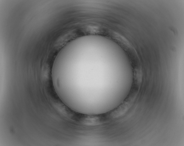 X0000114010760200910161733