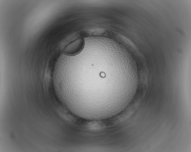 X0000114010761200910161733