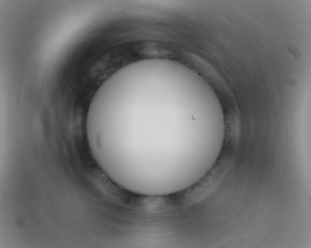 X0000114010762200910161733