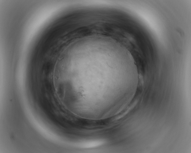 X0000114010765200910161733