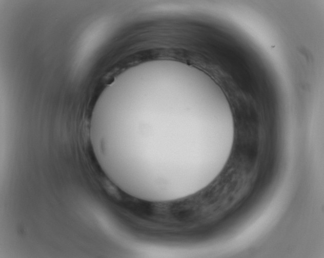 X0000114010766200910161733