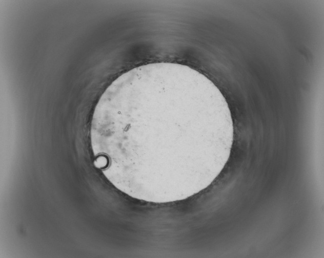 X0000114010769200910161732