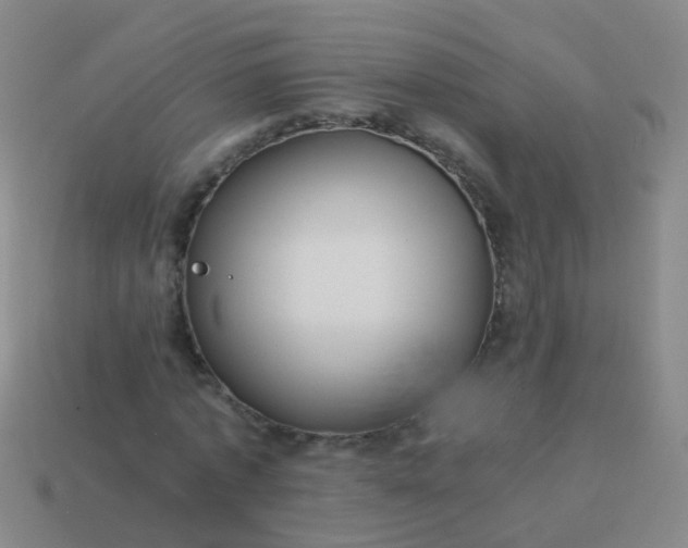 X0000114010773200910161732