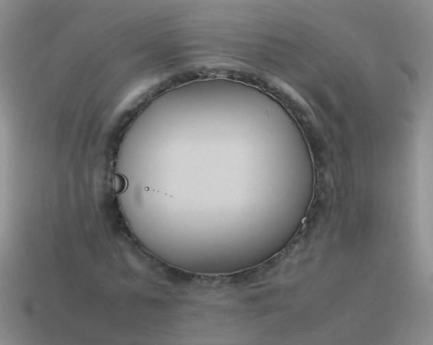 X0000114010775200910161732