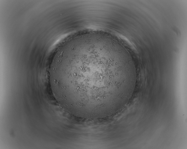 X0000114010776200910161732