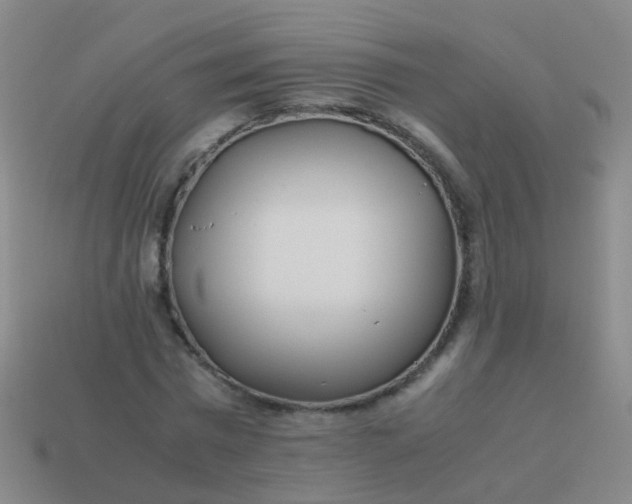 X0000114010777200910161732