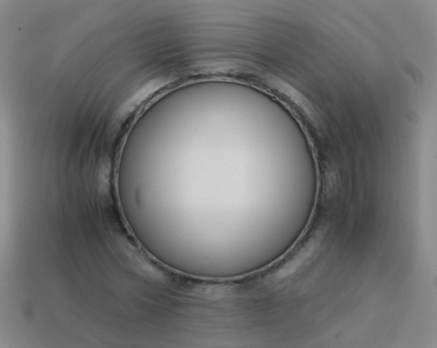 X0000114010778200910161732