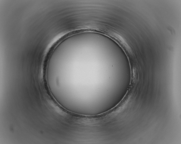 X0000114010780200910161732