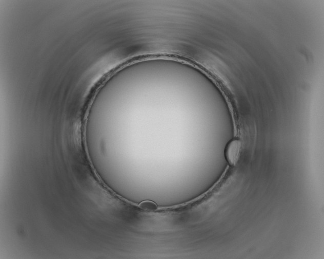 X0000114010781200910161732