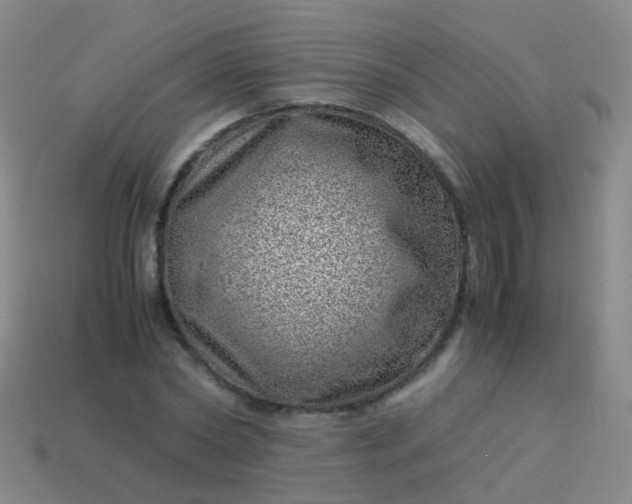 X0000114010782200910161732