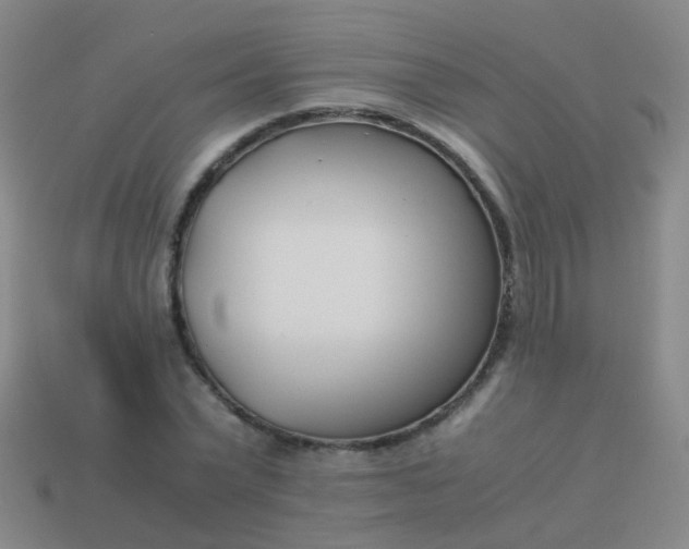 X0000114010783200910161732