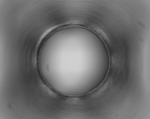 X0000114010784200910161732