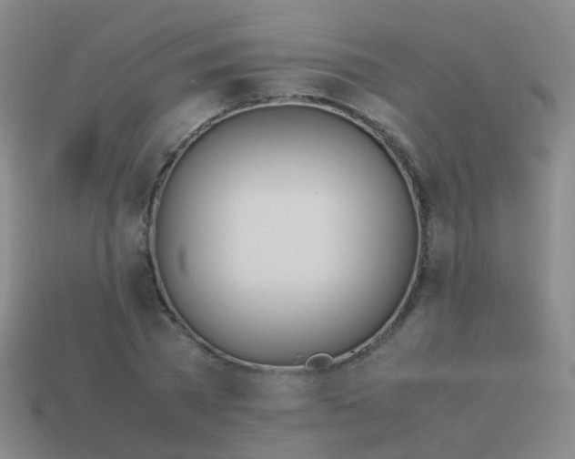 X0000114010785200910161732