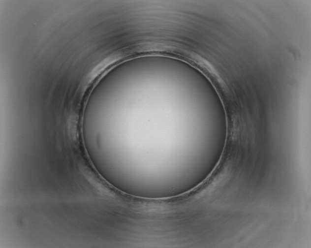 X0000114010786200910161732