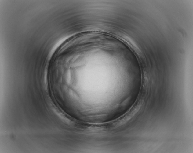 X0000114010788200910161732